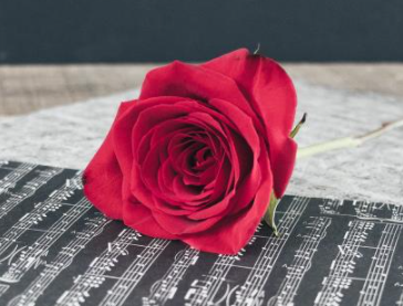 牵手时男生有生理反应 和喜欢的人牵手有生理反应