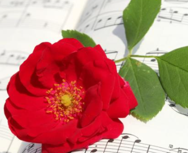 牵手时男生有生理反应 和喜欢的人牵手有生理反应