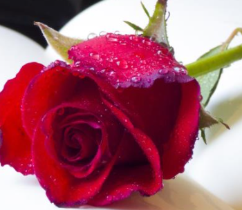 牵手时男生有生理反应 和喜欢的人牵手有生理反应