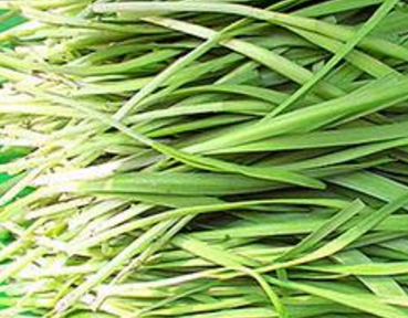 �²˵��÷�Ĺ�Ч������ �������÷ǳ��㷺