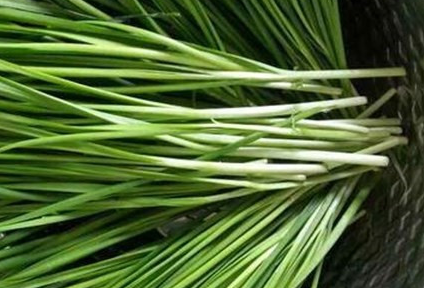 �²˵��÷�Ĺ�Ч������ �������÷ǳ��㷺