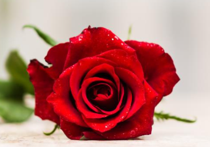 牵手时男生有生理反应 和喜欢的人牵手有生理反应