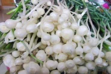 ɽ������ú͹�Ч ������Ϊʳ�Ƶ�ԭ��