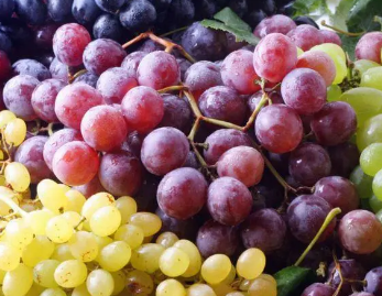 ���Ӻ����ѵ�Ӫ������ ���Ѻ����ӵĹ�ϵ