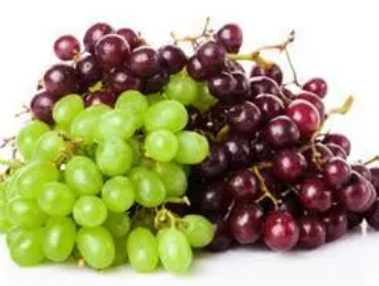 ���Ӻ����ѵ�Ӫ������ ���Ѻ����ӵĹ�ϵ