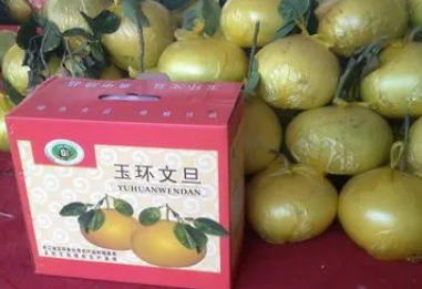 �ĵ��Ĺ�Ч������ ���ĵ���ʲô�ô�