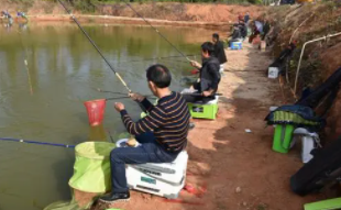 ���ⲻ�ܺ�ʲôһ��� �����һ��Ի�������������