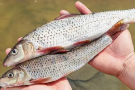 ���ⲻ�ܺ�ʲôһ��� �����һ��Ի�������������