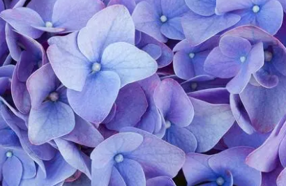 �ѻ�Ů���μ�������ʲôԤ�� Ԥʾ�����������Ҹ���������