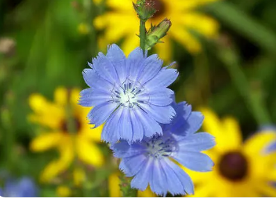 �ѻ�Ů���μ�������ʲôԤ�� Ԥʾ�����������Ҹ���������