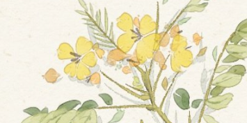 �ε��Լ��������ؼ� Ԥʾ�Ž������ߵ����Ʋ���