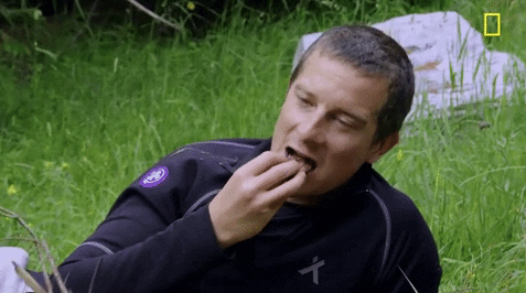 �������ʲô��˼ �ֳ�����������