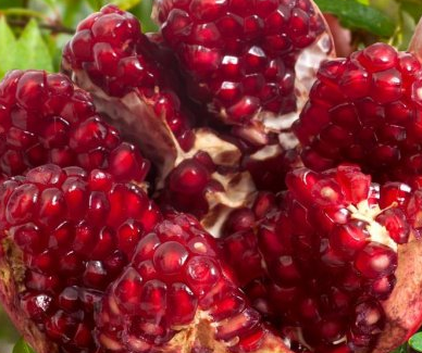 ˮ��֮�����а�ǰ10�� ˮ��֮��Ҳ������