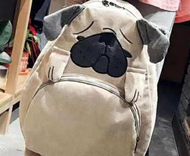 ʮ������ר����� �������ѡ���Ǹ�����ͬ