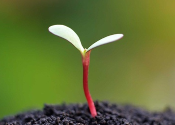 ����Ŀ��һ�仰��ȫ Ŀ����ָ������ǰ��������