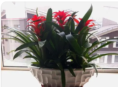 �޼����ĺ��˵�ͷͼƬ �����˵�ͷ��������޼�����