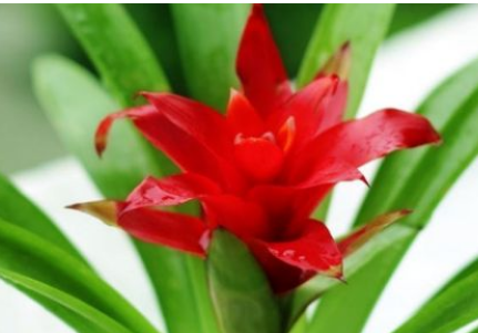 �޼����ĺ��˵�ͷͼƬ �����˵�ͷ��������޼�����
