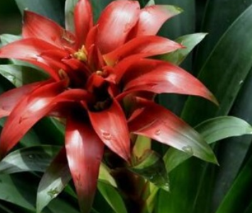 �޼����ĺ��˵�ͷͼƬ �����˵�ͷ��������޼�����
