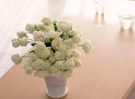 ʲô���˵ı��� ���Ǿ��в����㱾�ԵĶ���