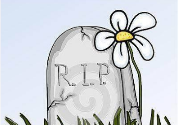 ���˿޵�������С���� ����һǧ��Ҳ���������˵�����