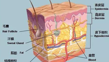 跑步可以改变脸型吗 对比情况会是如何的