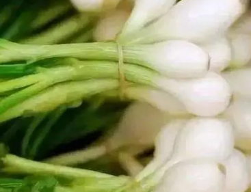 ˊͷ�Ĺ�Ч������ ������θҺ�Ĵ�л��ʳ�������