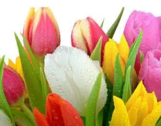 �ѻ�Ů���μ�����ʲôԤ�� Ԥʾ������ڵ����ƽϺ�