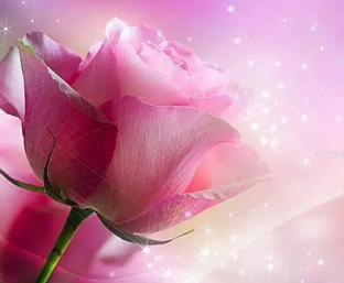 �ѻ�Ů���μ�����ʲôԤ�� Ԥʾ������ڵ����ƽϺ�