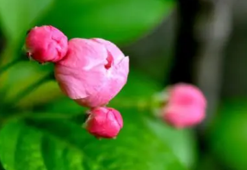 �ѻ�Ů���μ�����ʲôԤ�� Ԥʾ������ڵ����ƽϺ�