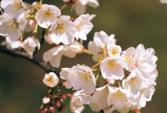 ���ʸй������˵ı��� �������ʸй��˻�������ϲ��Ů����