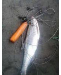 ��ȷ�������������㹳ͼ ׼��Ǧͷ����������