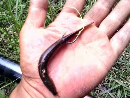 ��ȷ�������������㹳ͼ ׼��Ǧͷ����������