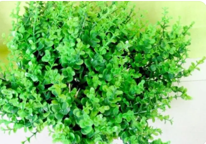 �ȼ�����ʲô �ȼ������Ĺ�Ч������