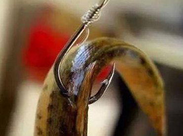 ��ȷ�������������㹳ͼ ׼��Ǧͷ����������