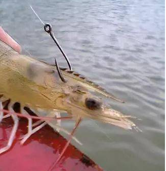 ��ȷ�������������㹳ͼ ׼��Ǧͷ����������