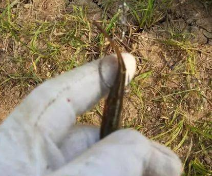 ��ȷ�������������㹳ͼ ׼��Ǧͷ����������