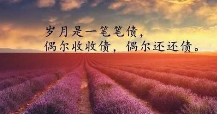 十句经典人生感悟句子 表达出我们的生活态度