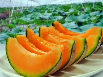 �۹ϵĹ�Ч������ ά����Ѫ�ܽ��������۾�