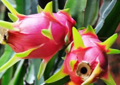 �������Զ��˻����� �������Զ��˻��ϻ���