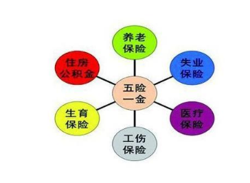 ����Ҫ������������� �ۼƽ���15��