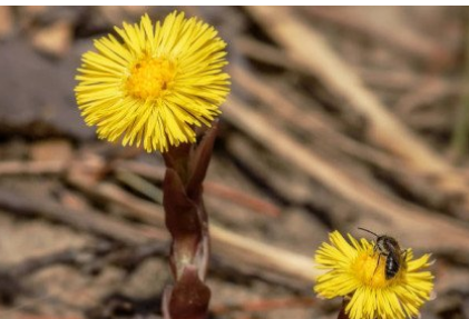 �ۿ���Ĺ�Ч�����ü����� �����ʳ�÷���