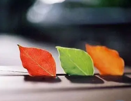 ���������õ����ĳ��� �����ܹ��������˵�