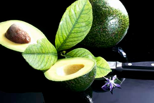 ţ�͹��������� ţ�͹���������