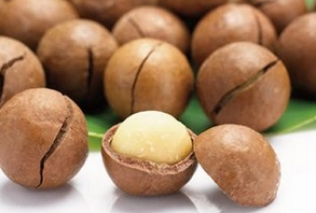 �����Ĺ��Ĺ�Ч�����ý��� ���ܹ���ʳ��