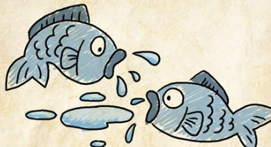 һ����һ�����ĳ��� ���㺬���ĳ�����֪����ʲô��