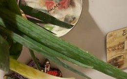 ��������ô��Ӫ����Ѫ ��������Ӫ����ֵҲ�Ƿǳ��ḻ��