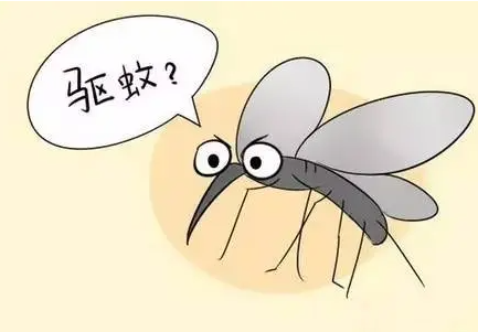 ����Ч��11�����÷��� һ�����Ķ���һ����