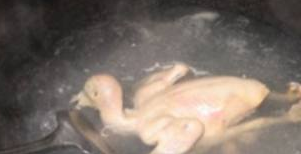 ��������ô��Ӫ����Ѫ ��������Ӫ����ֵҲ�Ƿǳ��ḻ��