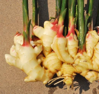 �������Ĺ�Ч������ ���������ô��