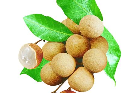 ������Ĺ�Ч������ ��������ˮ�ȵĹ�Ч